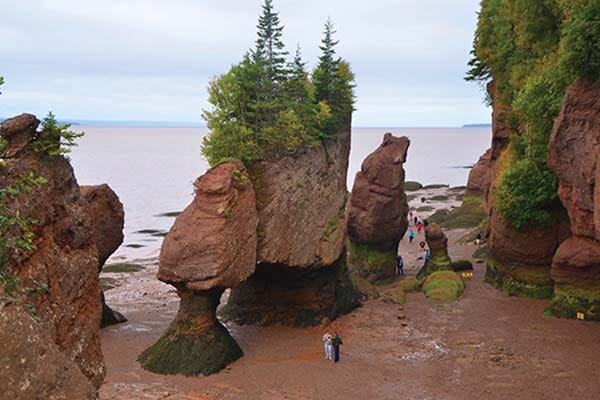 Bay of Fundy - Wikidata