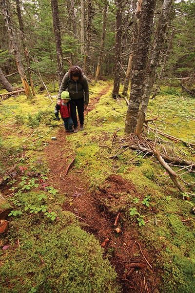 Bay of Fundy  New7Wonders of Nature