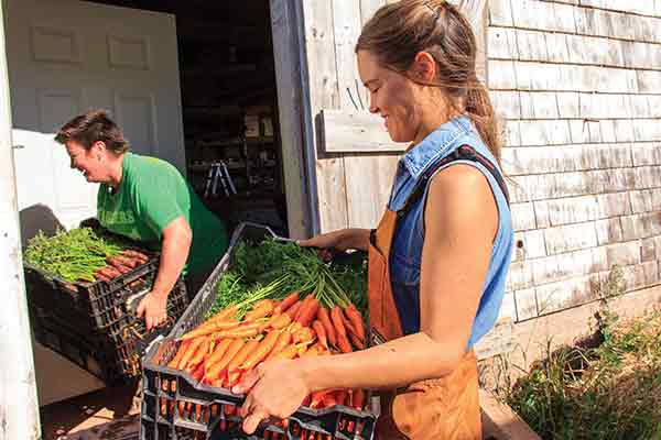 Amy and Verena grow between 40 and 50 different types of vegetables, including yellow squash and eight varieties of beets and carrots.